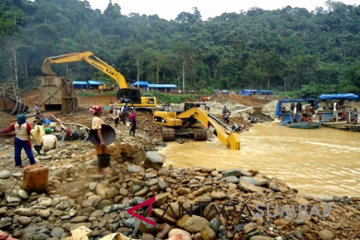 Polda Selidiki Tambang Emas Bermasalah di Pasaman