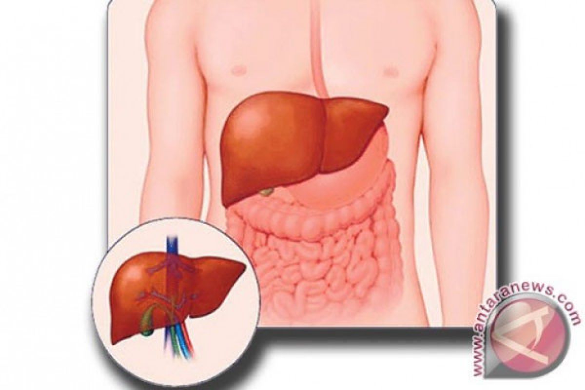 Benarkah masyarakat jarang menyadari idap hepatitis?