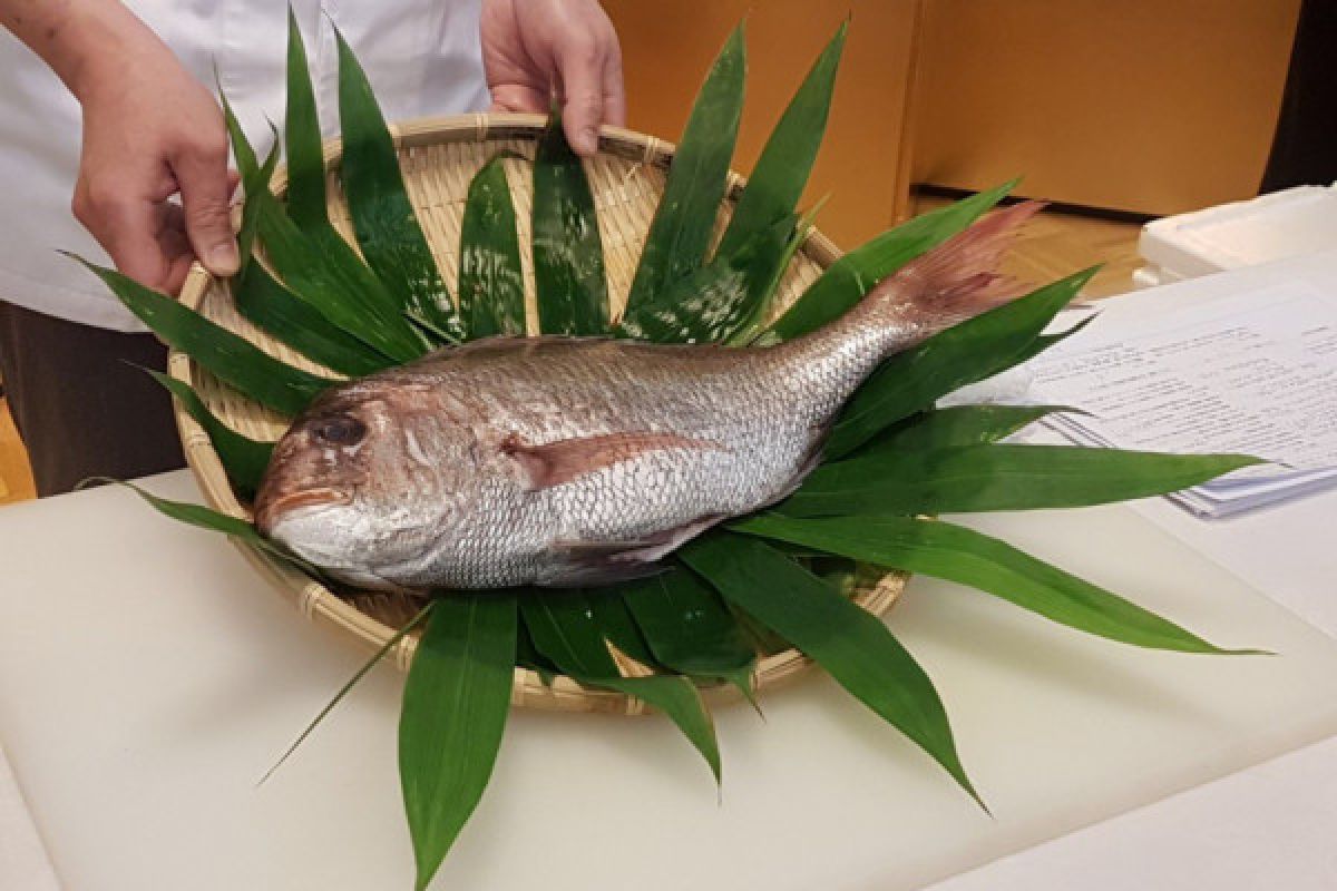 Mencicipi olahan ikan tai dari Jepang