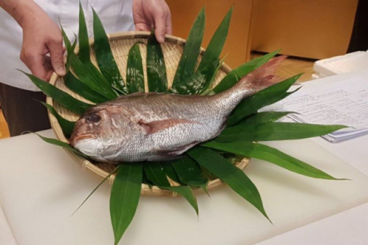 Ikan Tai dari Jepang biasa dikonsumsi mentah