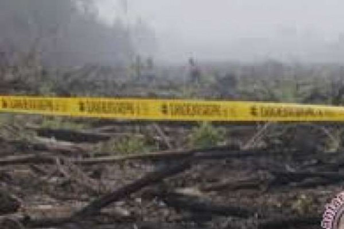 Restorasi Gambut Riau Nonsense Selama BRG Tak Bekerjasama dengan Penegak Hukum dan Masyarakat