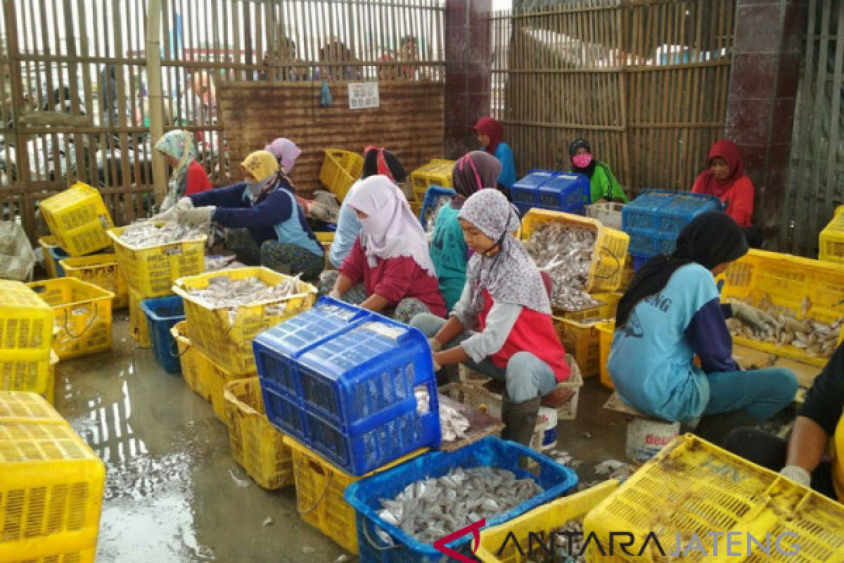 UPI Rembang ditargetkan serap 70 ton ikan