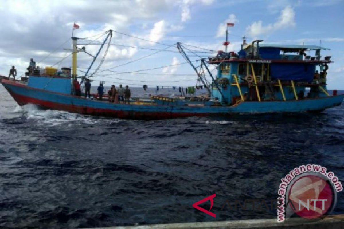 NTT tidak peroleh kontribusi apapun dari kapal Purse Seine