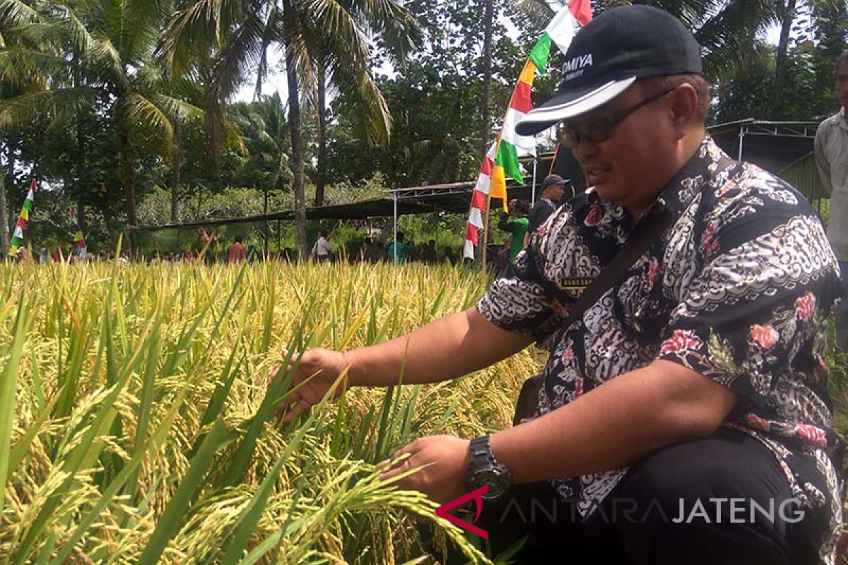 Semangat seorang tenaga penyuluh dalam mendampingi petani