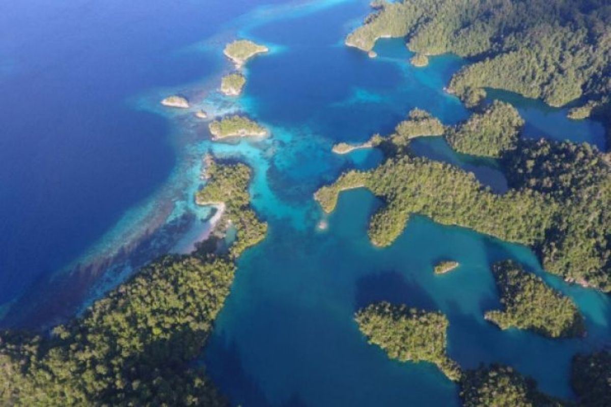 Surga bawah laut Halmahera wisata diving terbaik di Indonesia