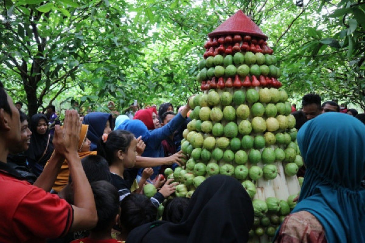 Wisatawan Botania Garden Purbalingga berebut gunungan buah