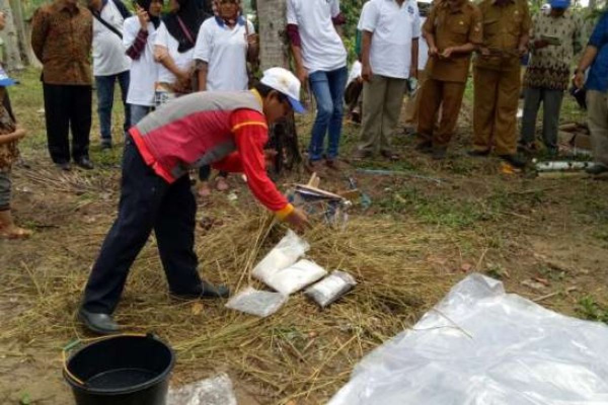 LIPI Bantu 2.000 Bibit Buah Mangga dan Kelengkeng kepada Petani Riau