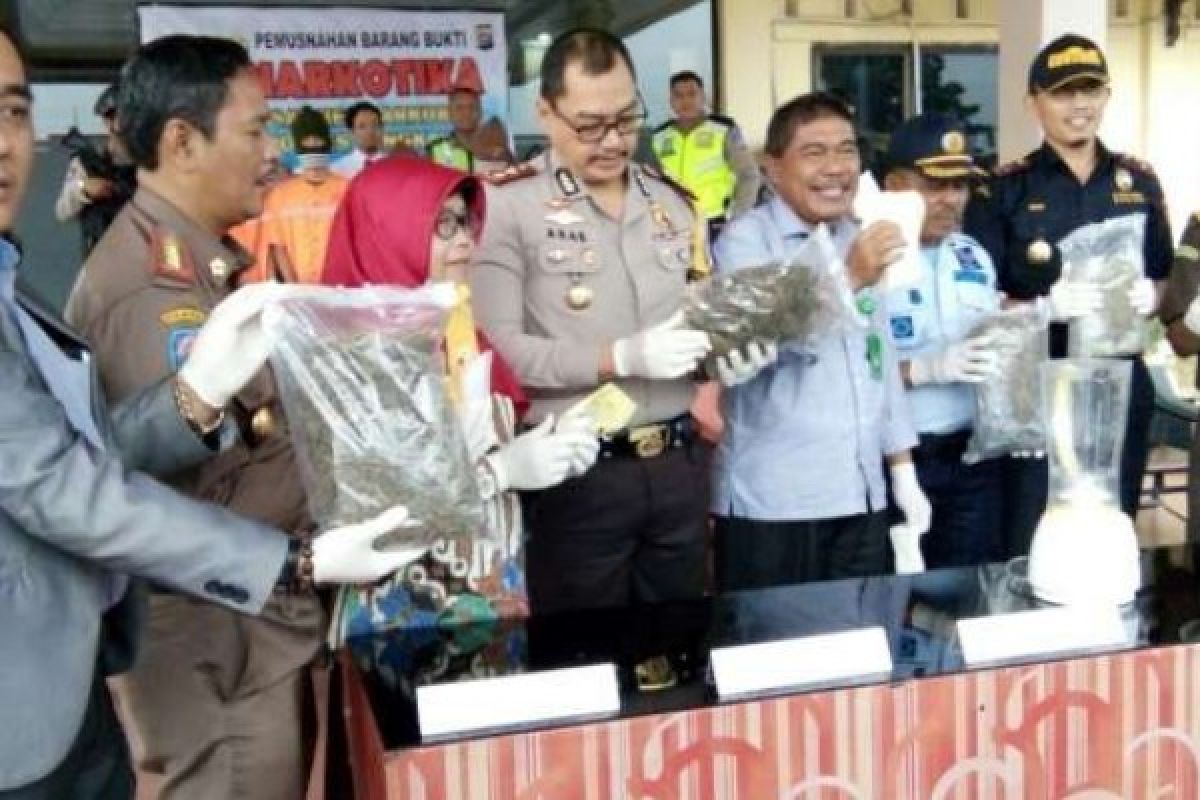 Musnahkan 3 Kg Ganja, Polres Bengkalis Lakukan Dengan Cara Membakar