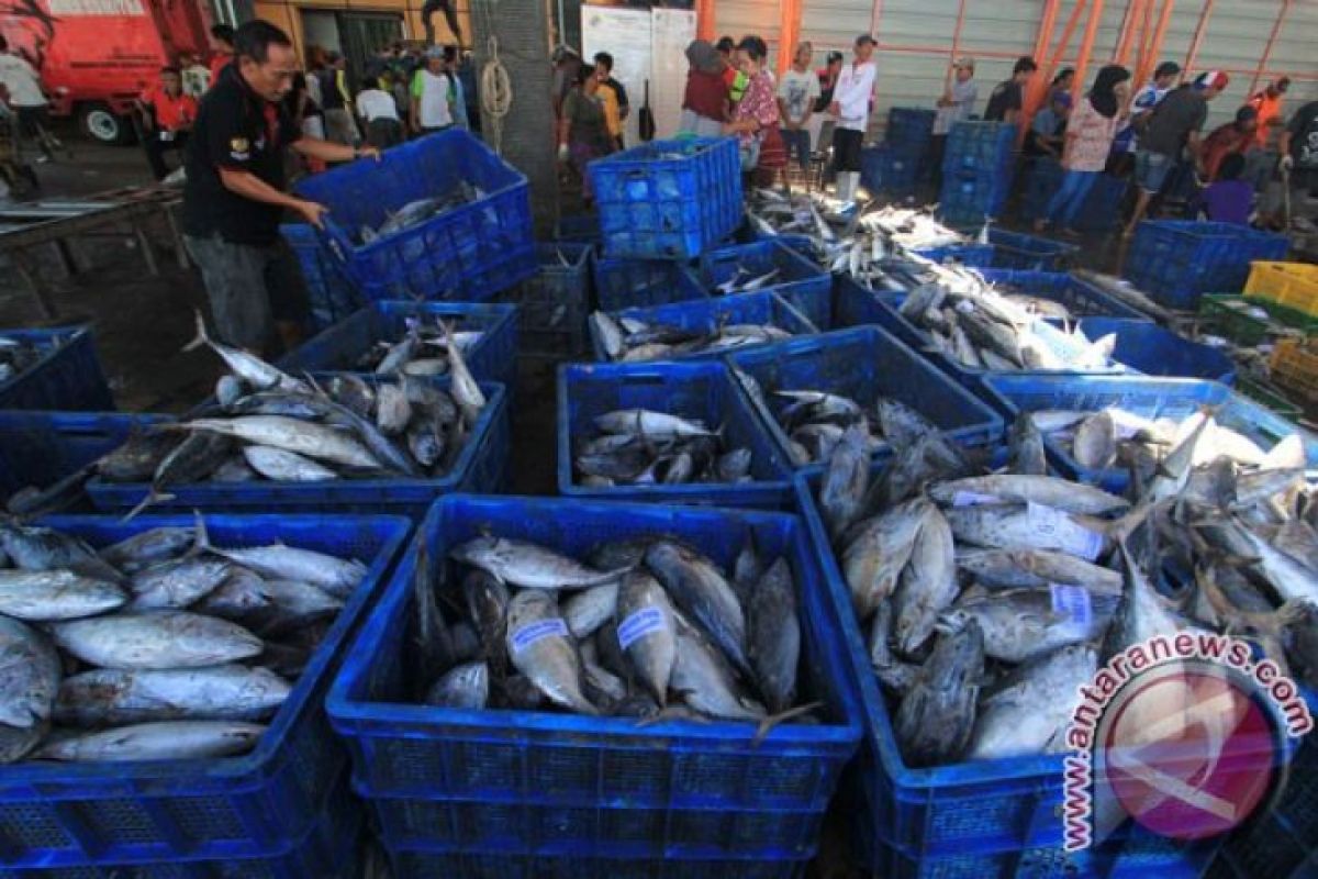 Karimun tidak punya tempat pelelangan ikan