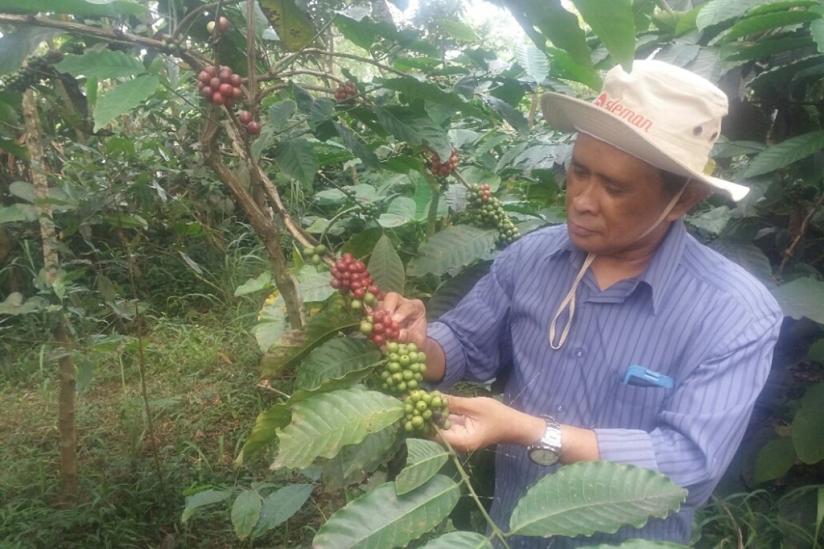 Kopi Merapi meriahkan "Helsinki Coffee Festival 2018"