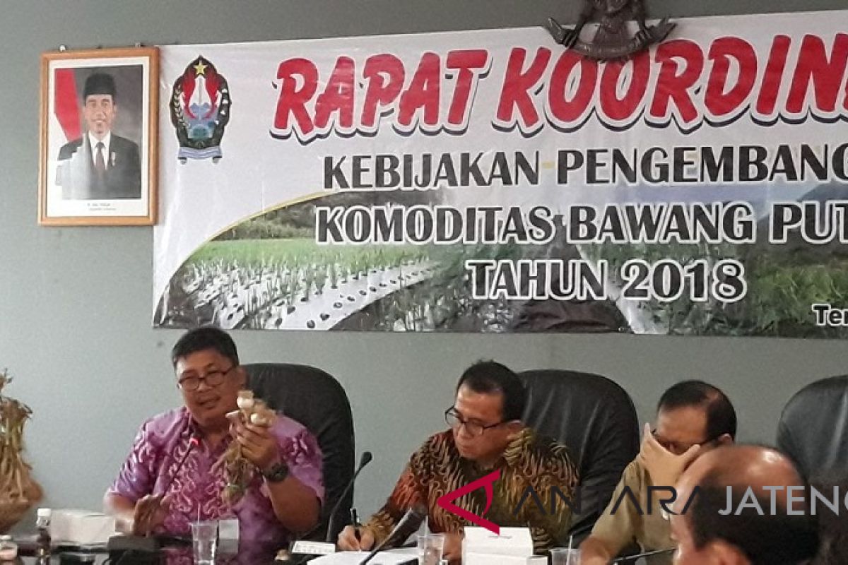 Pengembangan bawang putih terkendala keterbatasan benih