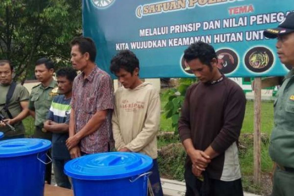 Diserahkan KLHK, 4 Pembunuh Beruang Madu Ditahan di Polda Riau