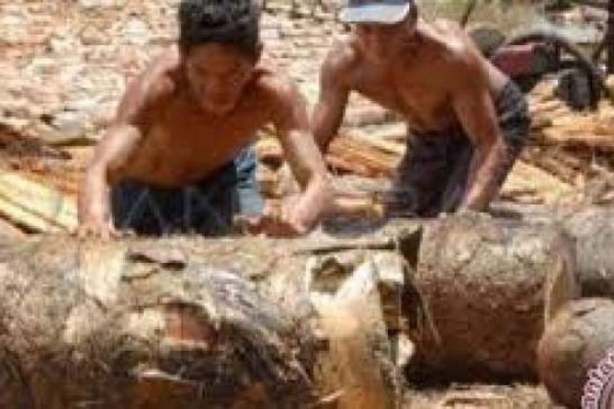 Majukan Persaguan Nasional, Bupati Meranti jadi Inisiator Fokus Kapassindo