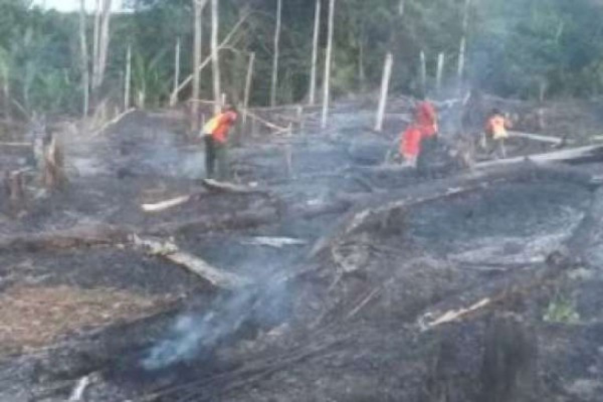 Sudah 1.646 Hektare Lahan Terbakar di Riau Tahun ini, Meranti Terluas