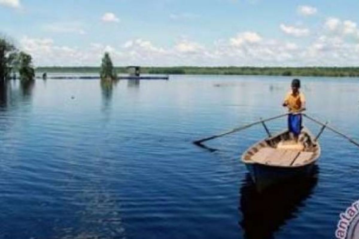 Sinar Mas Gandeng UNAS Teliti Cagar Biosfer Giam Siak Kecil