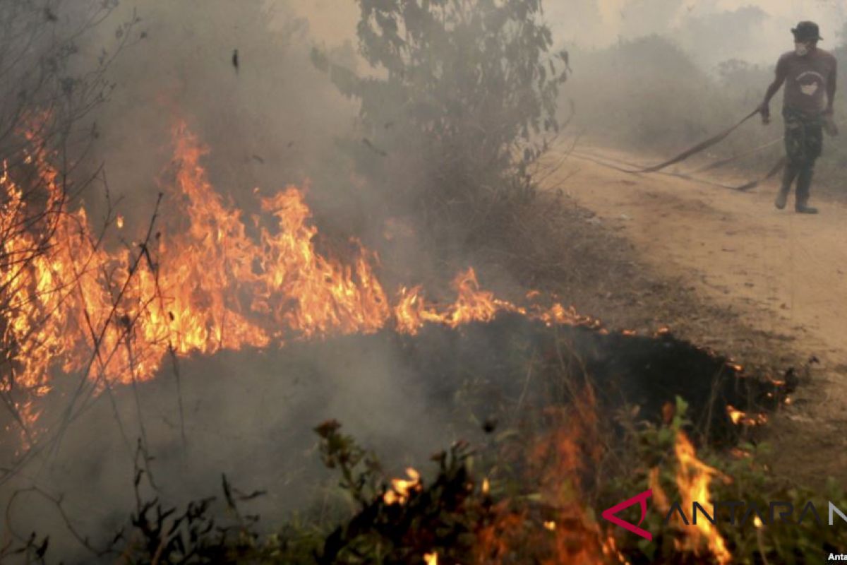 Lahan terbakar bukan di kawasan wisata