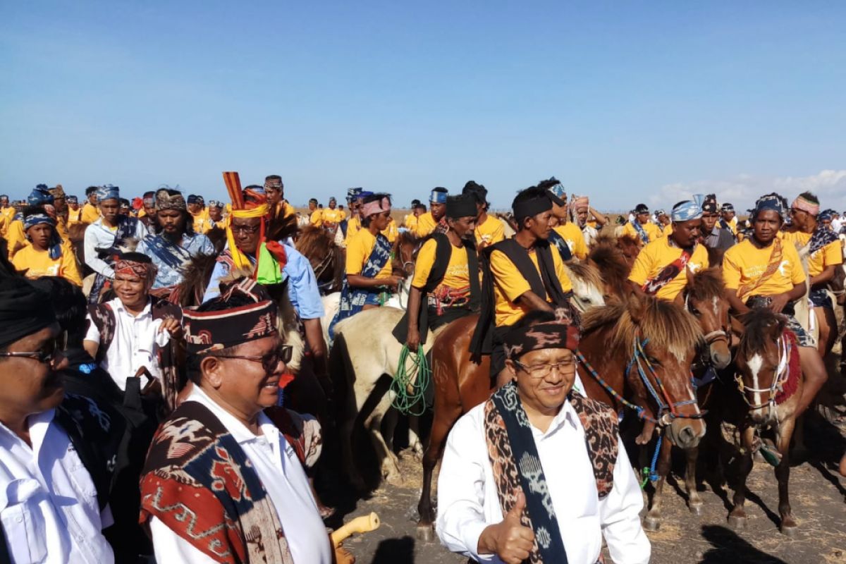 Mbilijora committed to continue to conserve Sandalwood horses