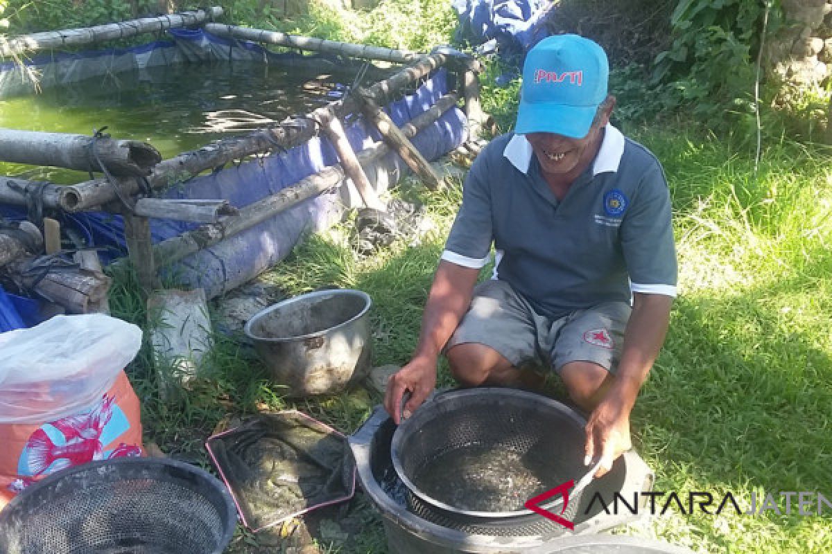 Cuaca ekstrem jadi momok budi daya ikan