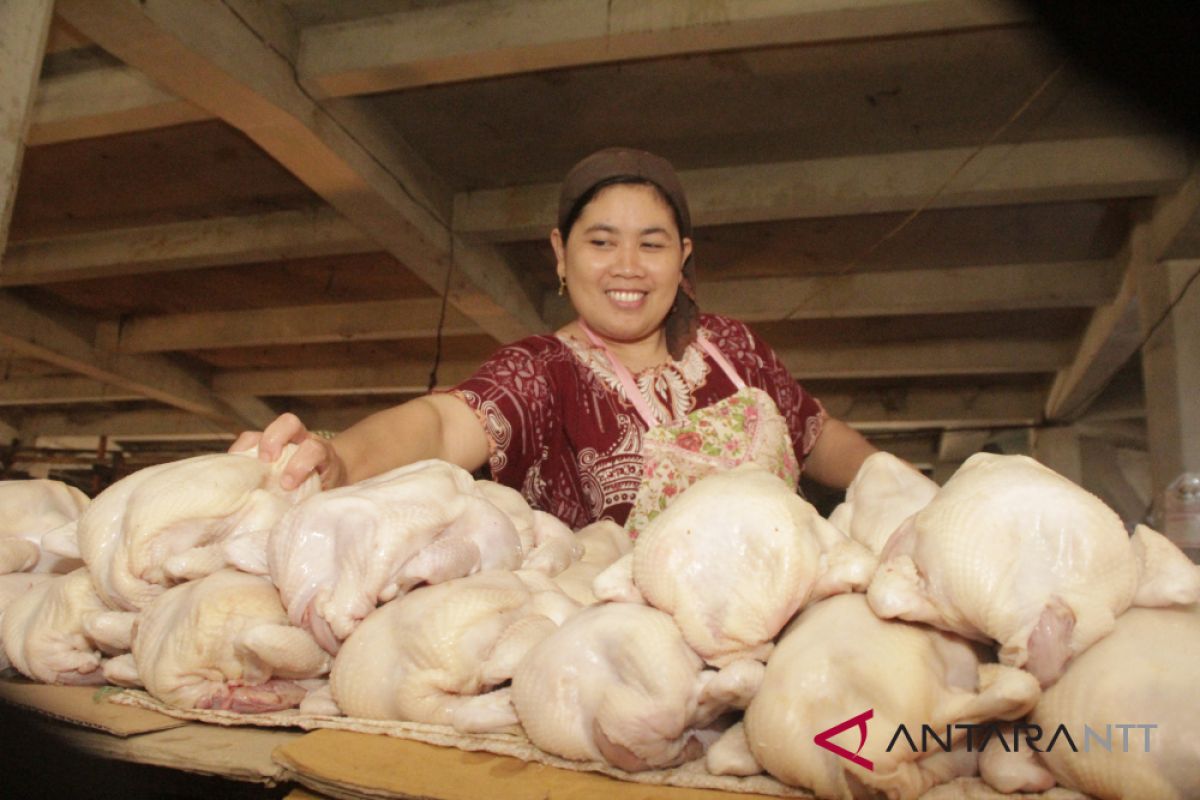 Pemerintah Kota undang peternak bahas kenaikan harga ayam