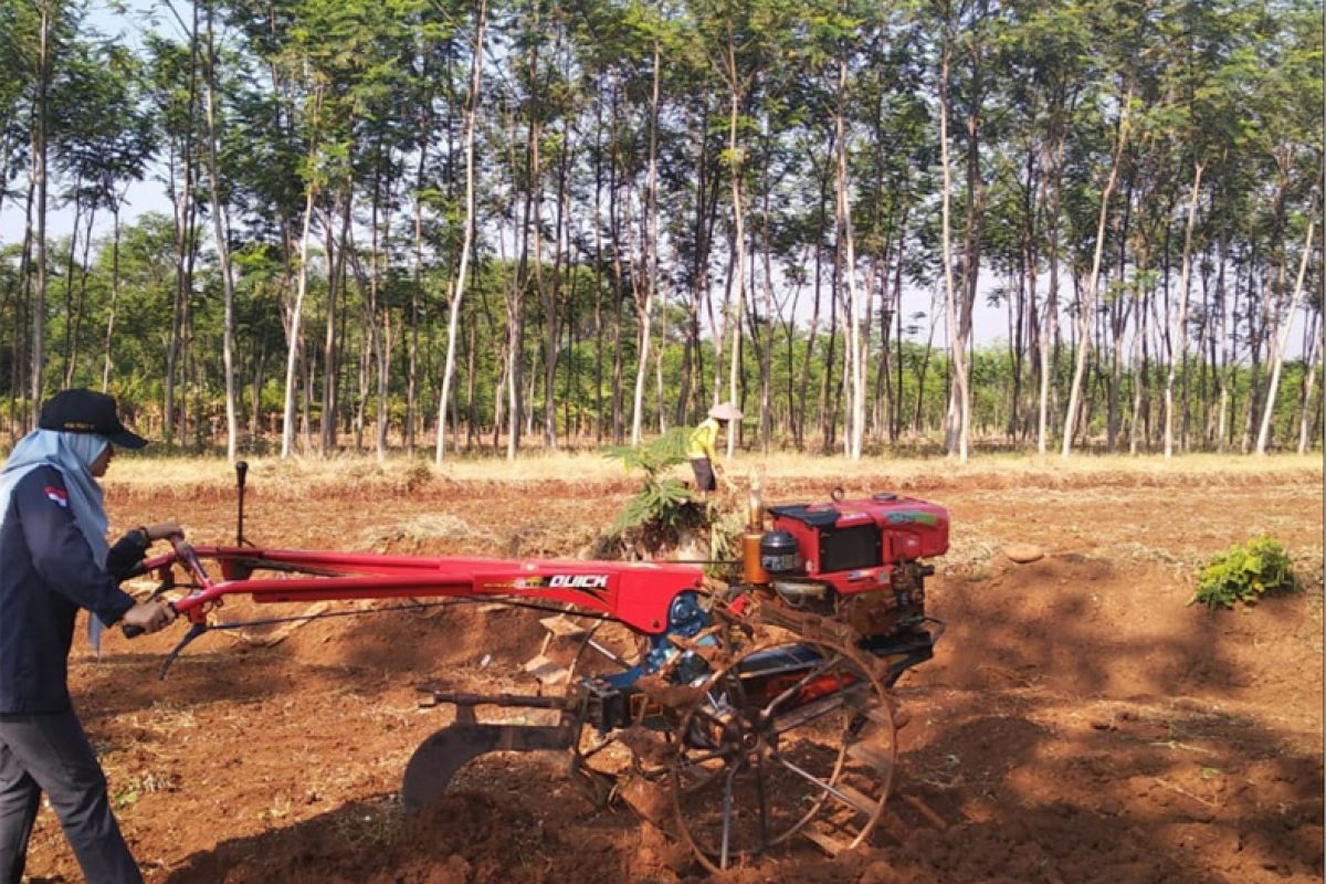 Petani antusias sambut program pendampingan mahasiswa STPP