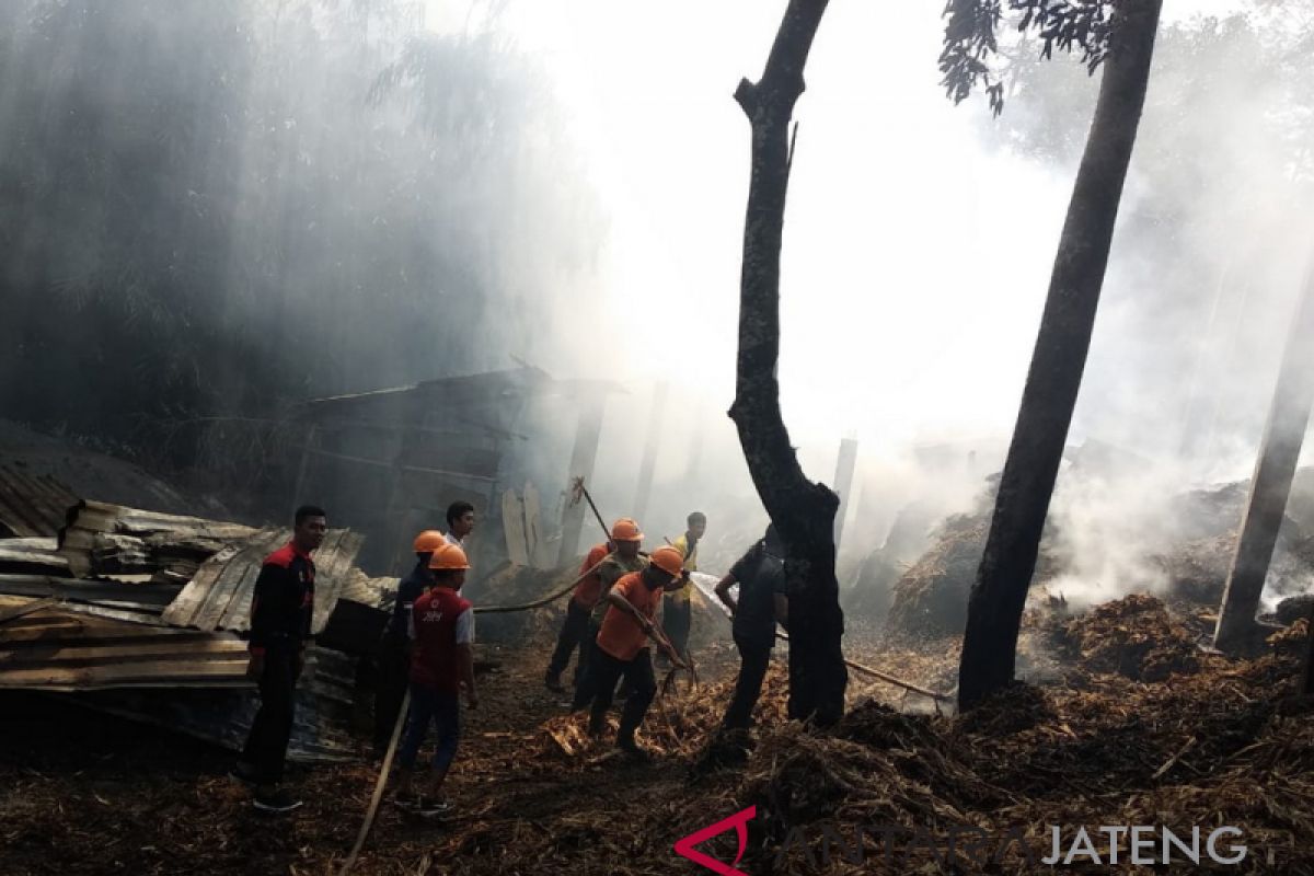 Lalai, Penyebab Terbanyak Kebakaran di Kudus