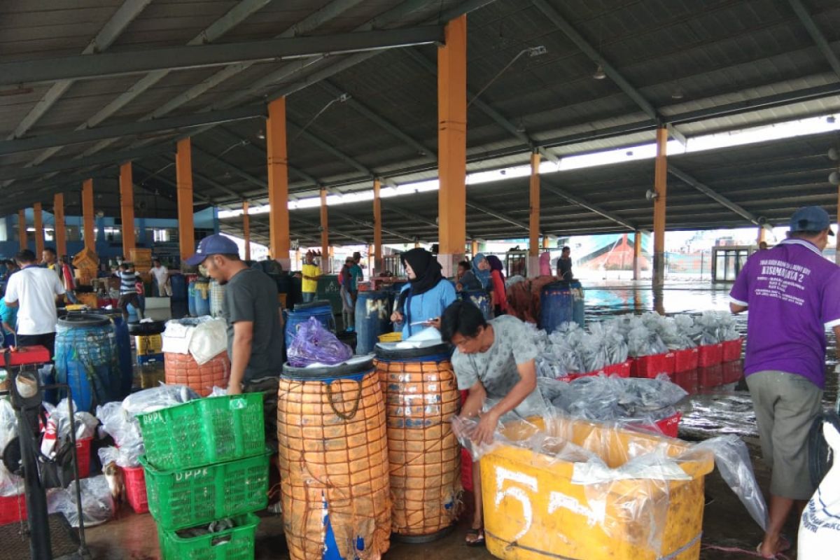 Pasokan turun, harga ikan TPI Pekalongan naik