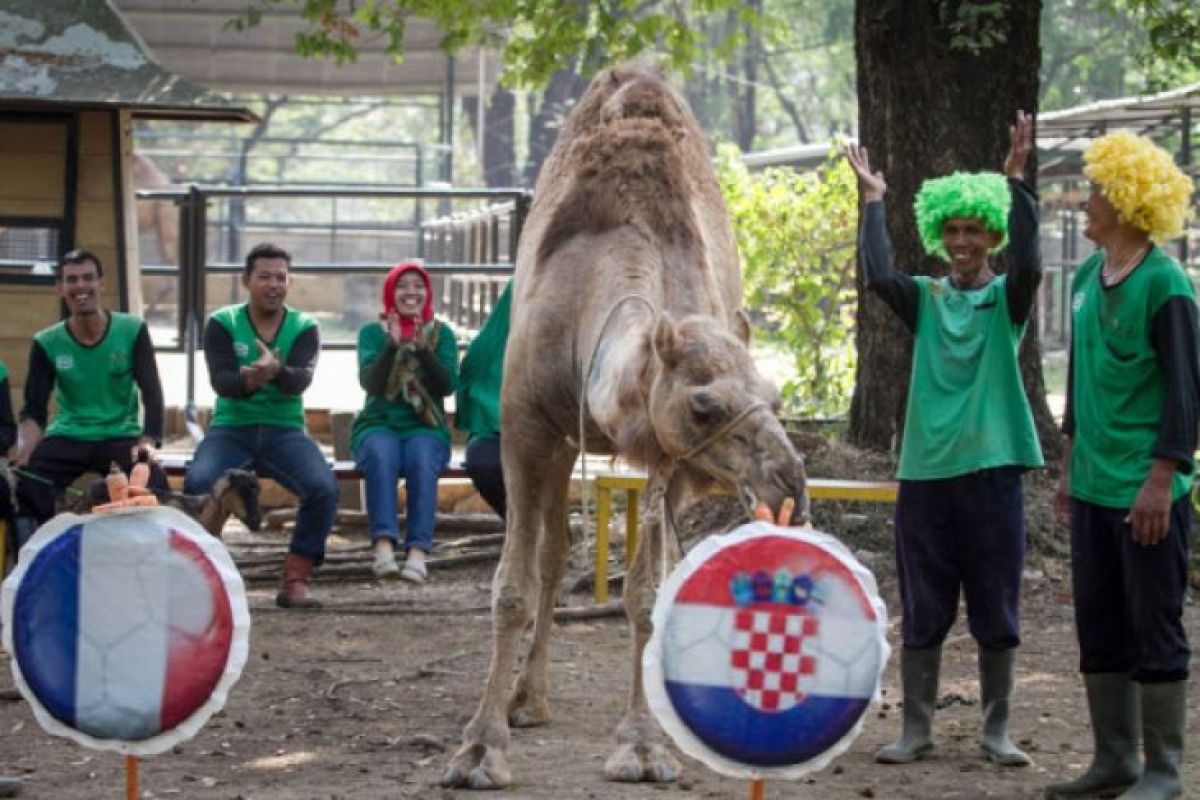 Final Prancis versus Kroasia mengonfirmasi dominasi Eropa