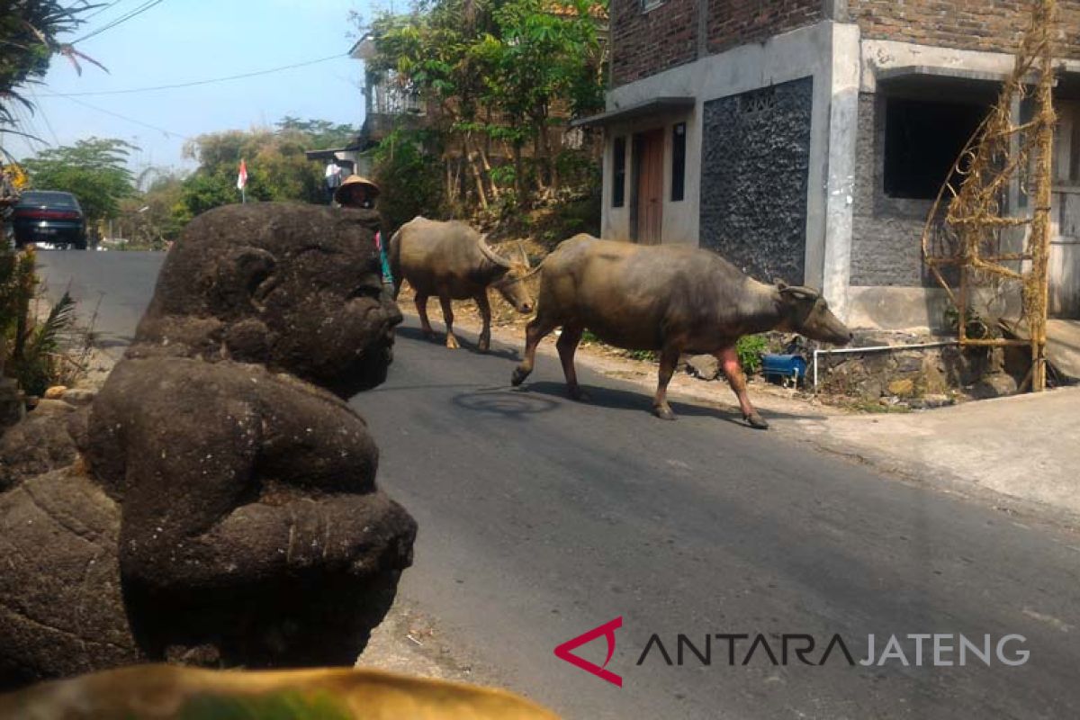 Telatah desa-kota teraih Festival Lima Gunung