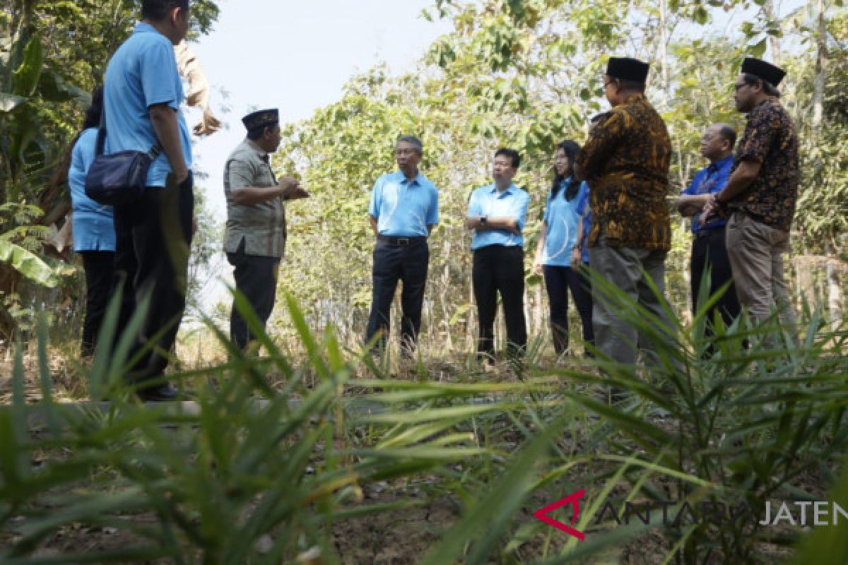 BCA berkomitmen biayai budi daya jahe