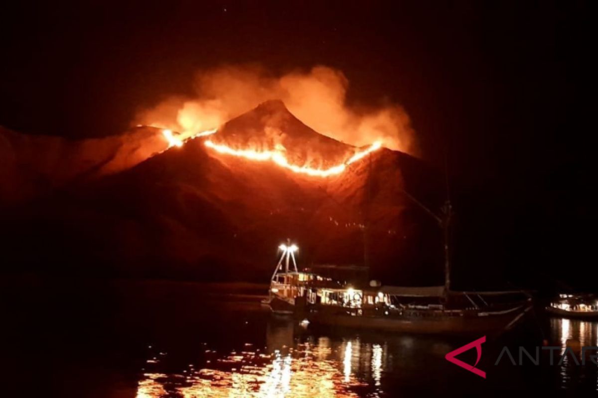 Polisi usut kebakaran hutan di kawasan wisata TN Komodo