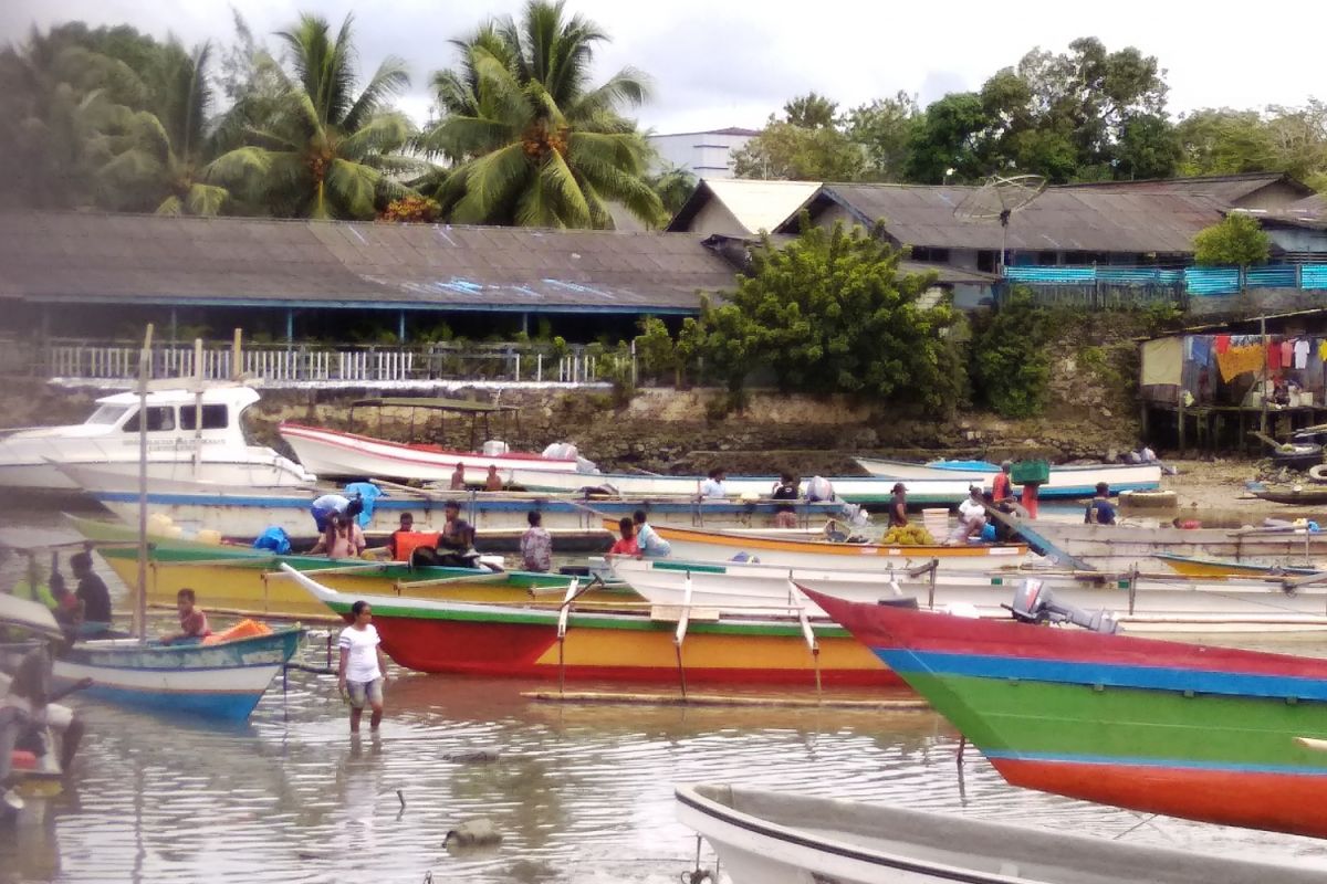 BMKG: tinggi gelombang Samudera Pasifik Utara 0,75 - 2 meter