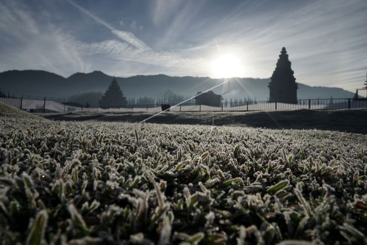 Jateng diminta serius garap wisata Borobudur-Dieng