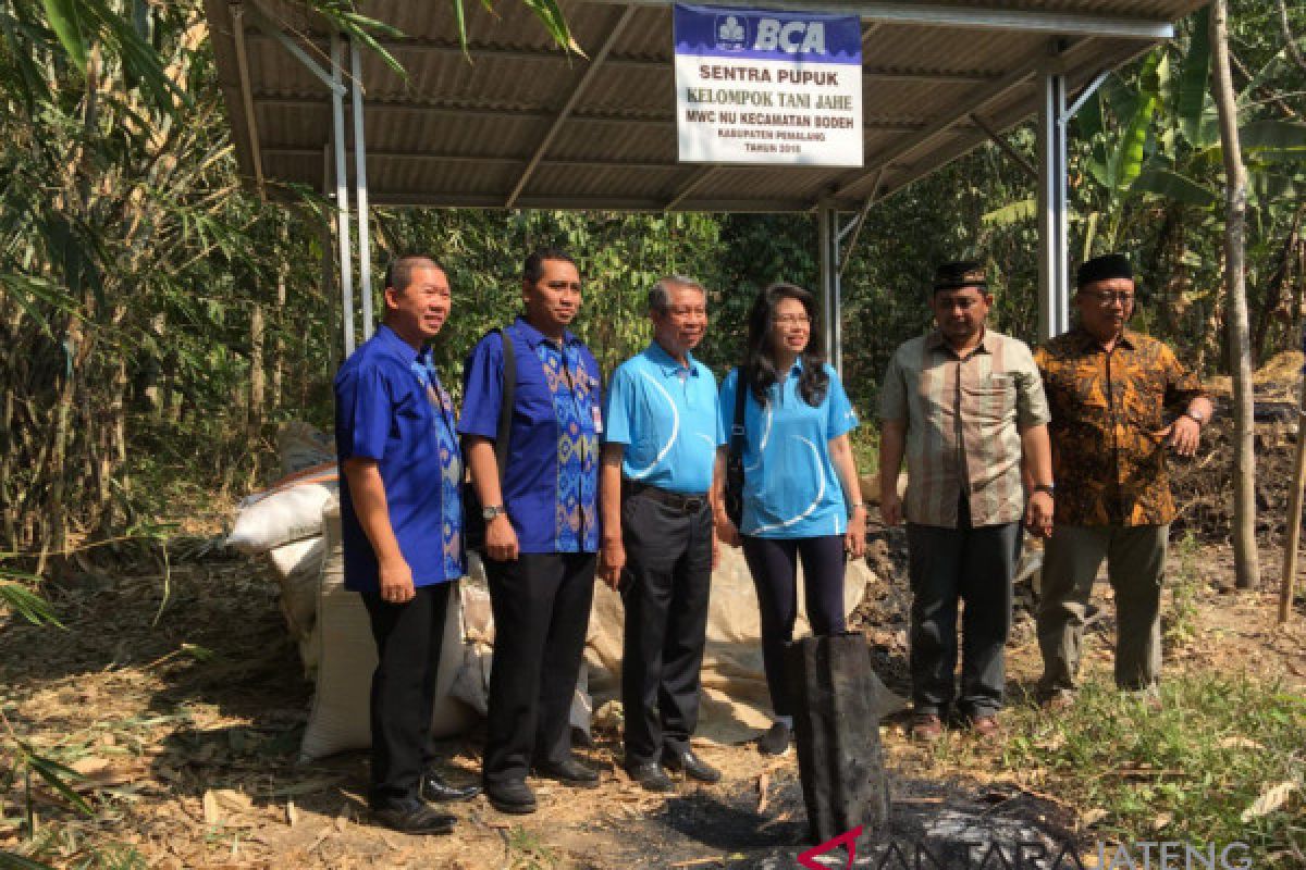 Petani Pemalang lirik budi daya tanaman jahe