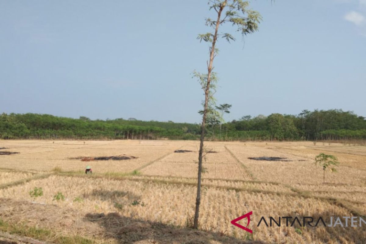 Bersama antisipasi kekeringan dan kekurangan air bersih