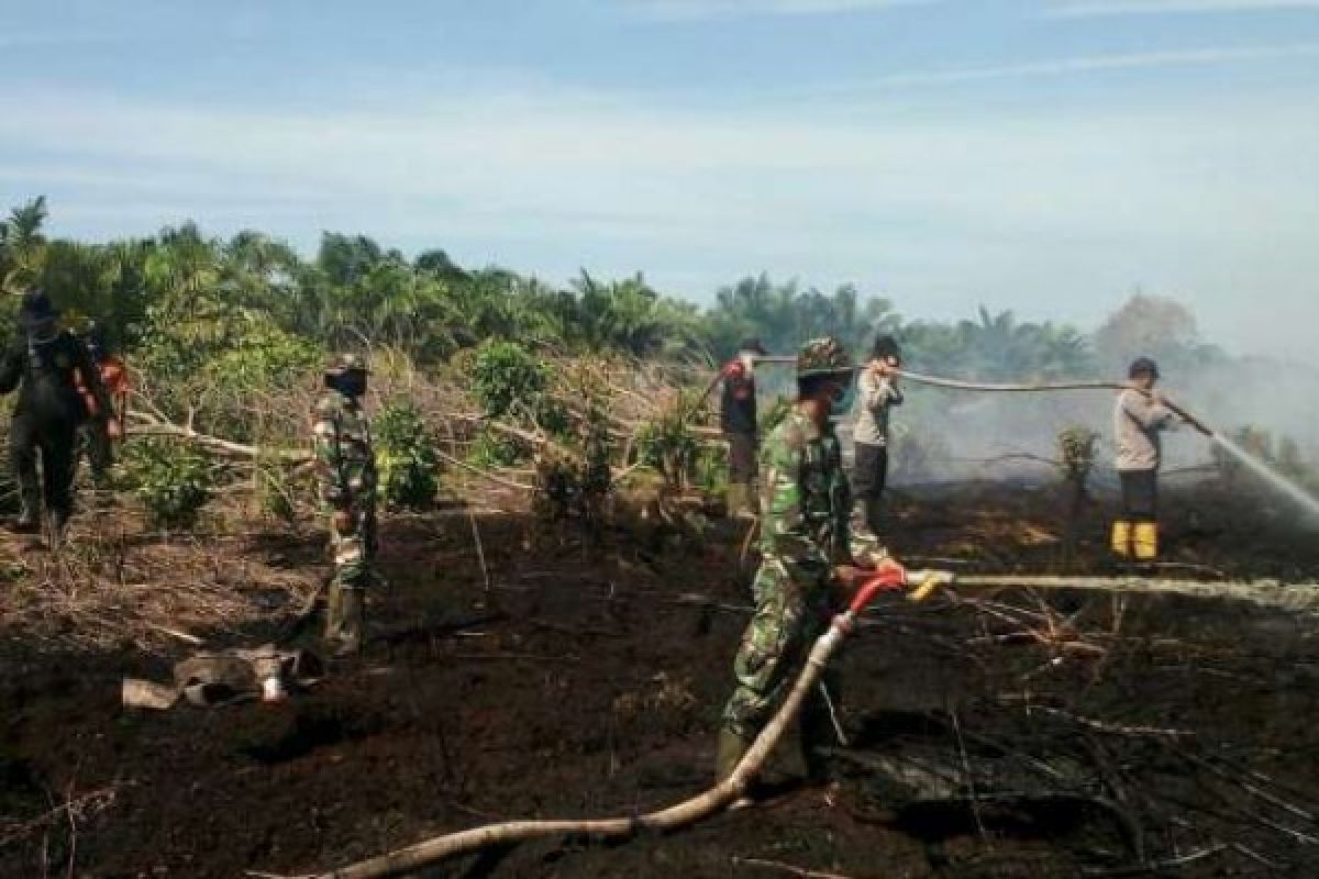 Tim Gabungan Berjibaku Padamkan Karlahut Di Rohil