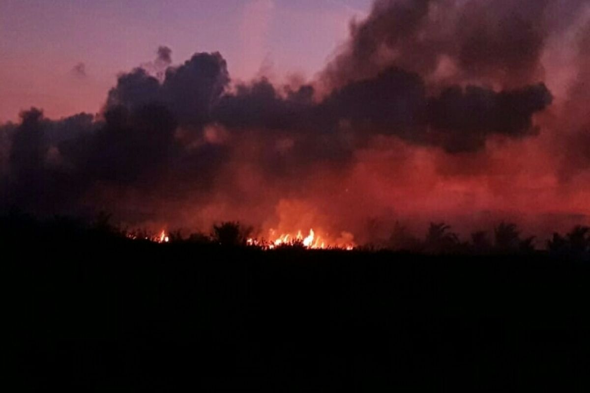 Kebakaran lahan marak, helikopter pengebom air kembali dikerahkan ke Kotim