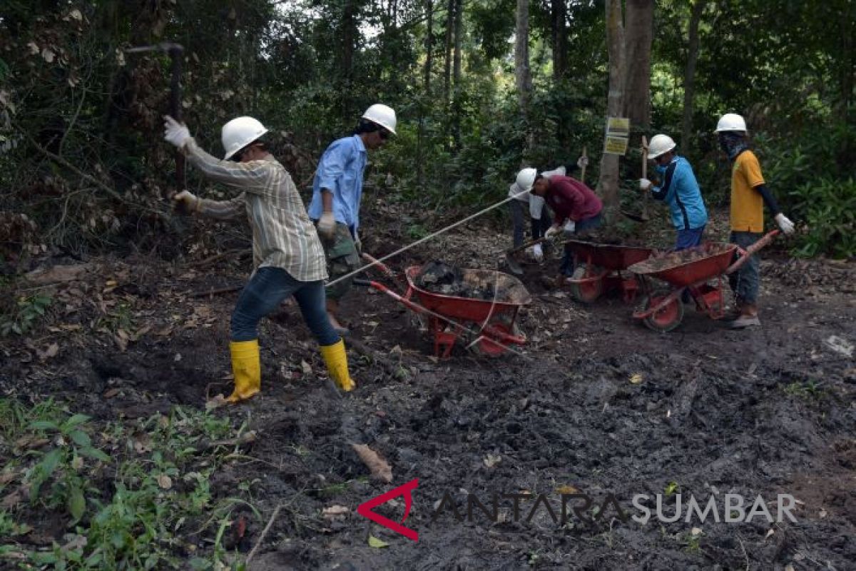 Chevron komit tuntaskan pembersihan limbah minyak di Tahura Riau