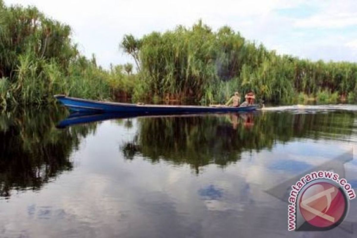 Two missing tourists found in Tanjung Puting National Park