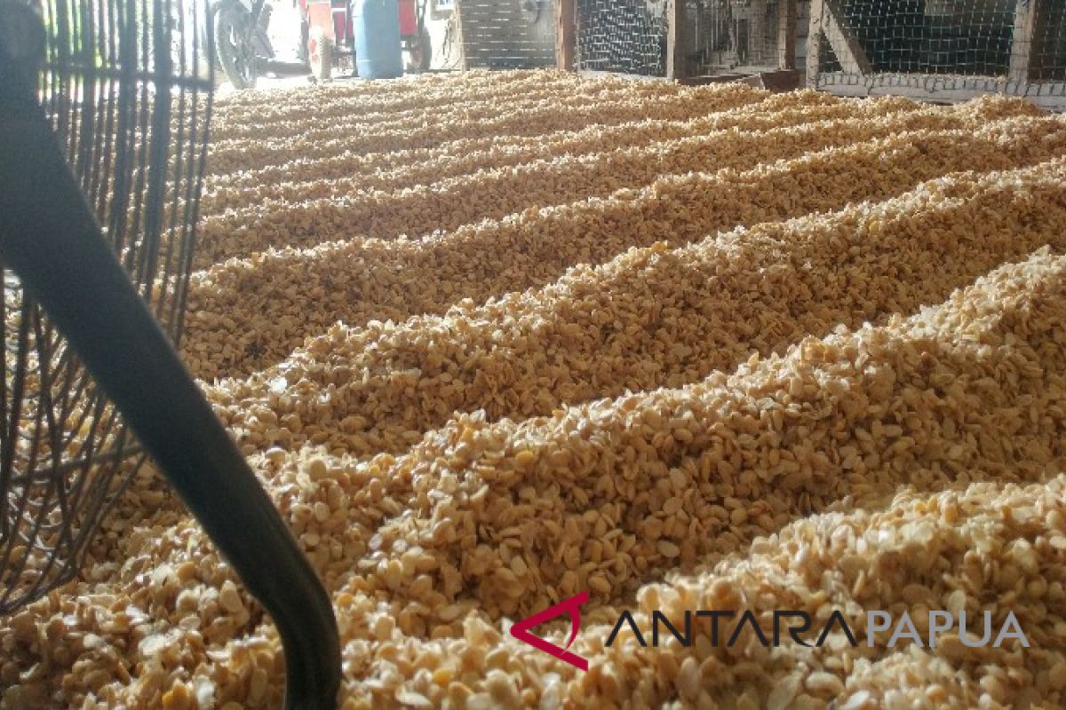 Pengusaha tempe Jayapura kurangi produksi terkait harga kedelai