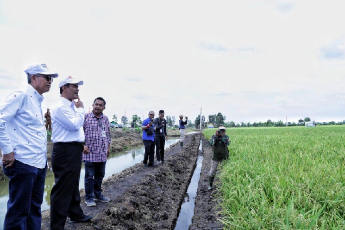 Peringatan Hari Pangan optimalkan lahan rawa