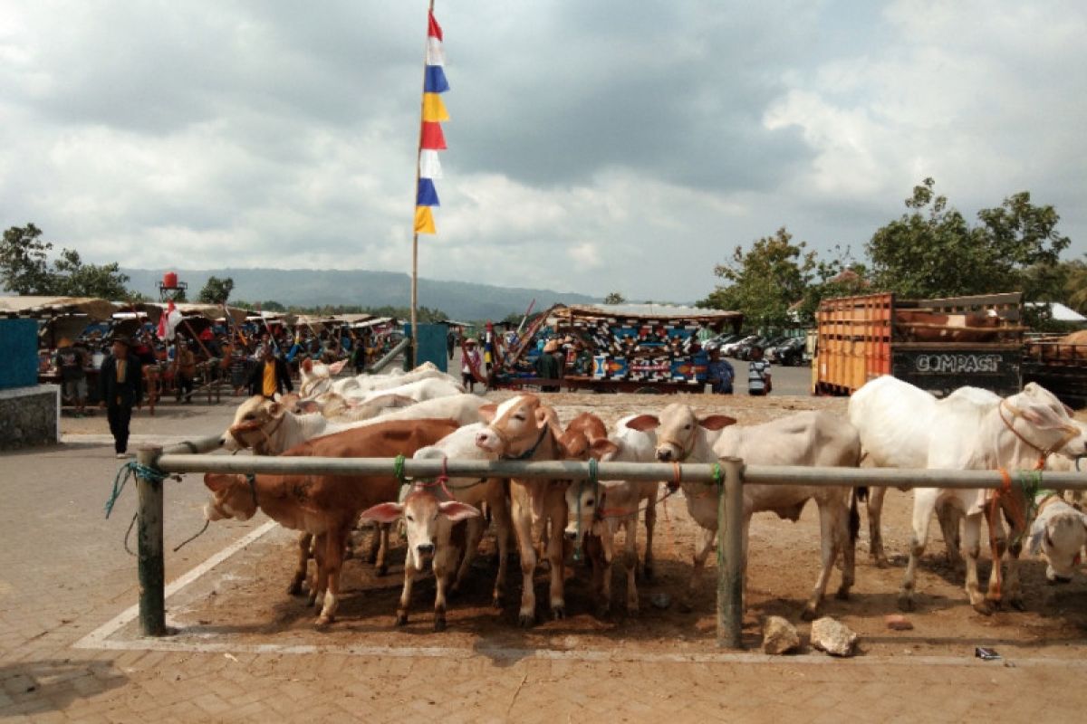 Pertumbuhan sektor peternakan di Bantul  mampu tingkatkan kesejahteraan masyarakat