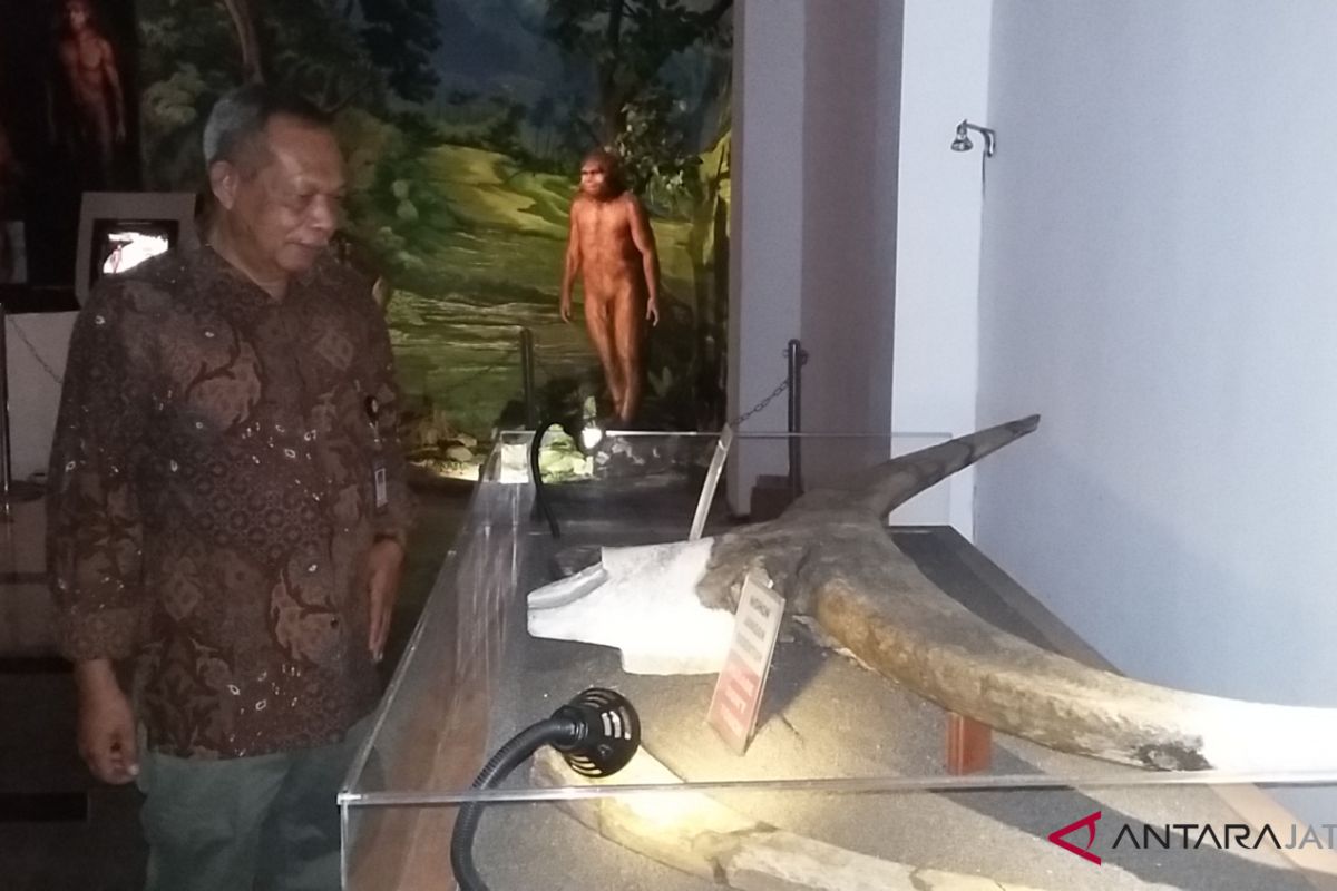 Museum Sangiran terus berbenah