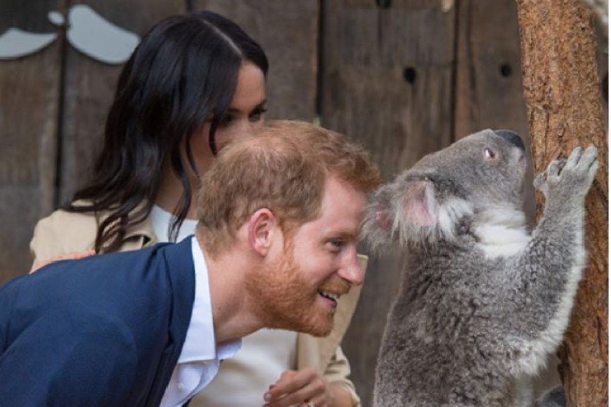 Pesawat yang ditumpangi Meghan dan Harry batal mendarat di Sydney