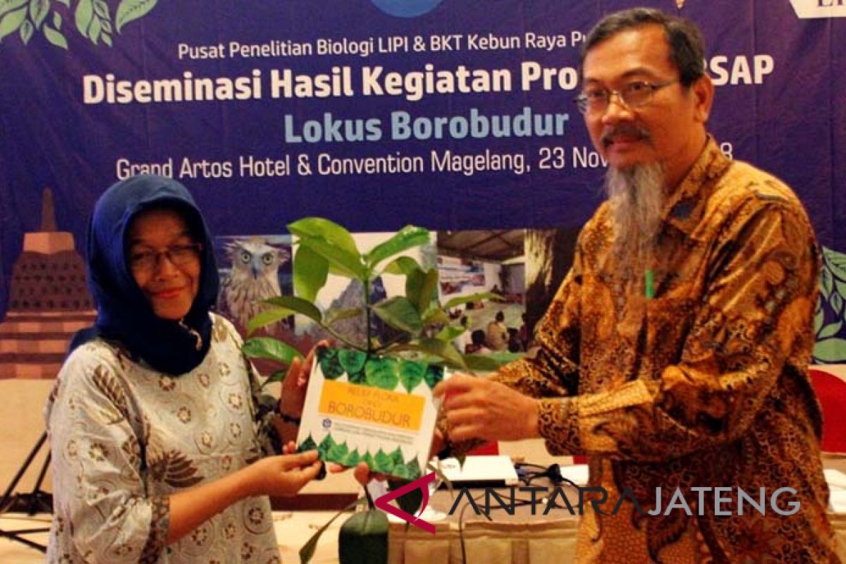 LIPI bukukan flora di relief Candi Borobudur