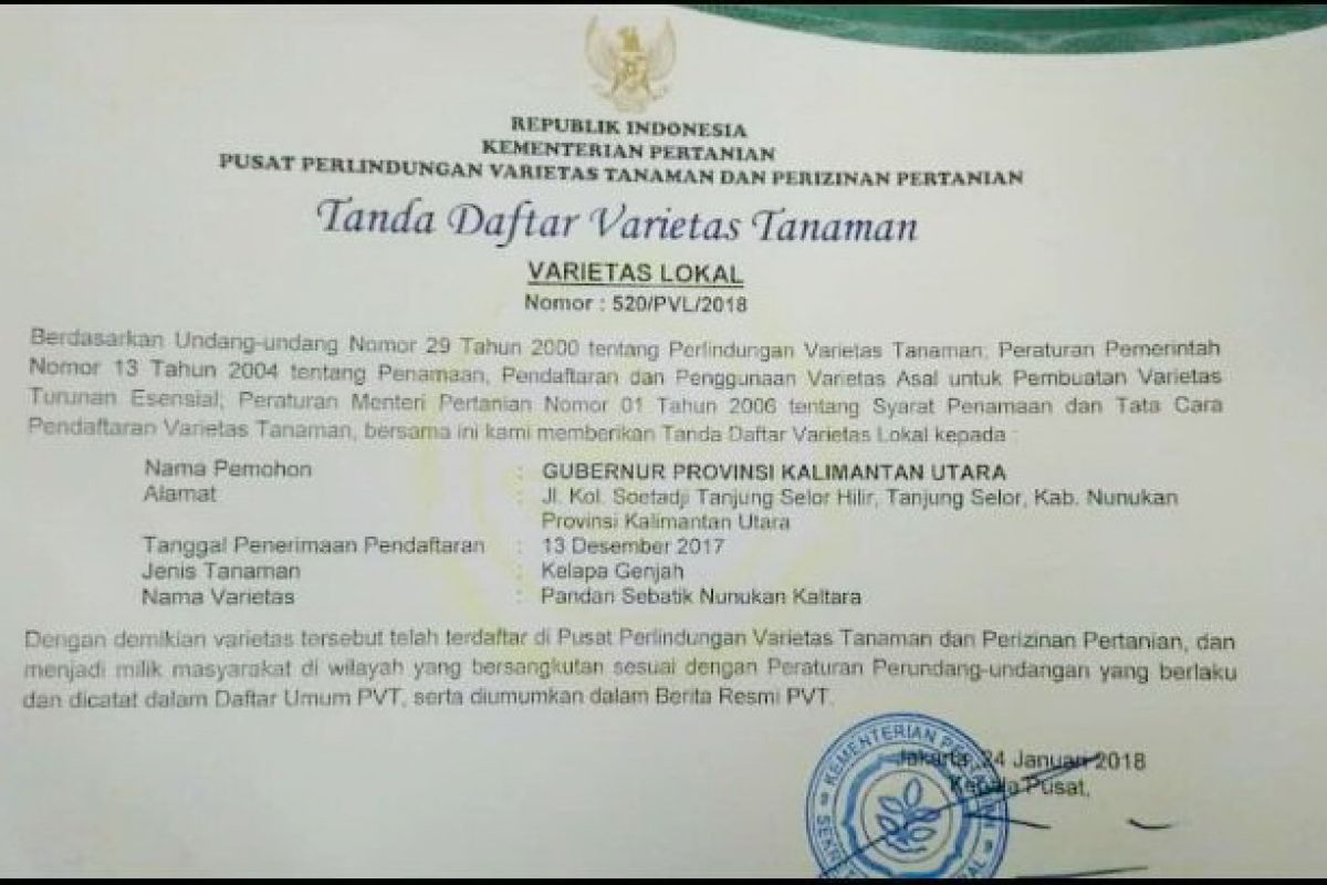 Kelapa Pandan Wangi Sebatik Ditetapkan Sebagai Varietas Lokal Kaltara