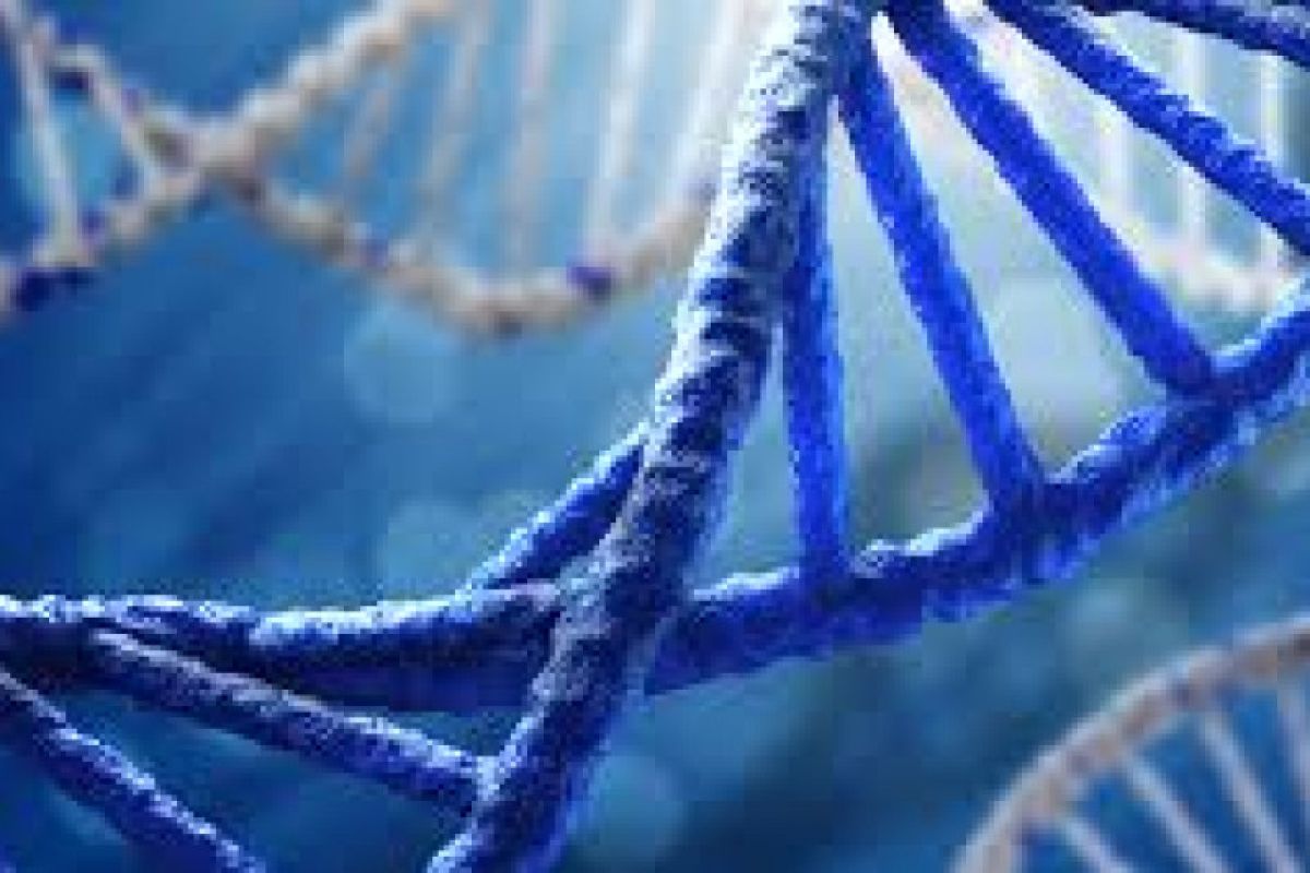 DNA bisa tersimpan lama di tulang