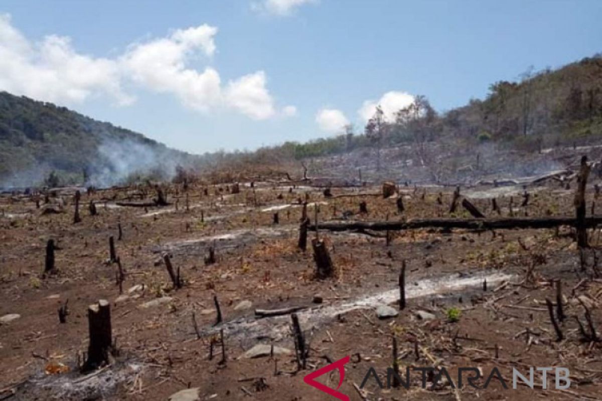 Dinas KLH: banjir Dompu akibat hutan gundul