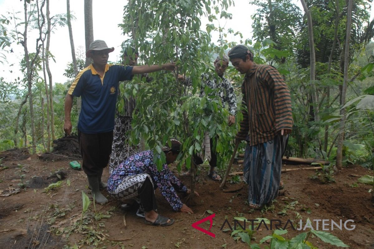 Masyarakat Ngargoretno Magelang hijaukan lereng Menoreh