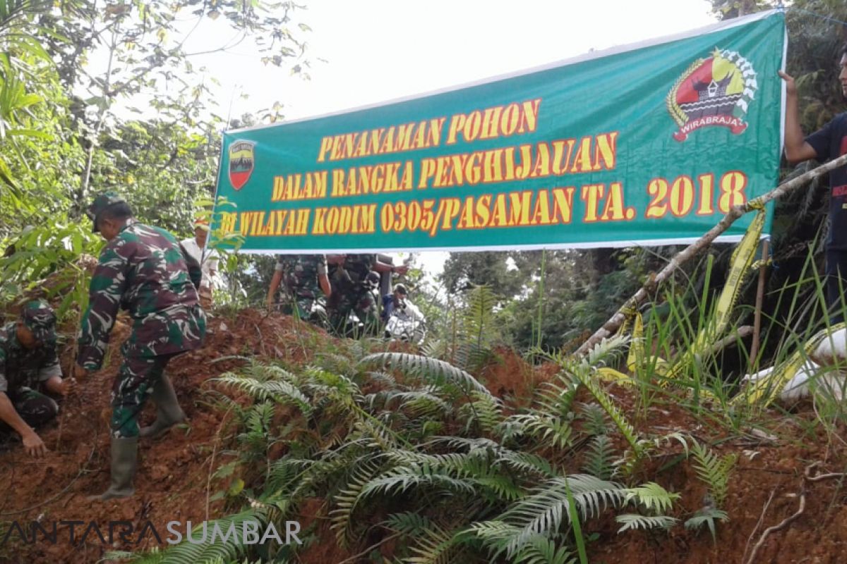 Ratusan pohon mahoni dan surian di tanam di Pasaman, upaya penghijaun