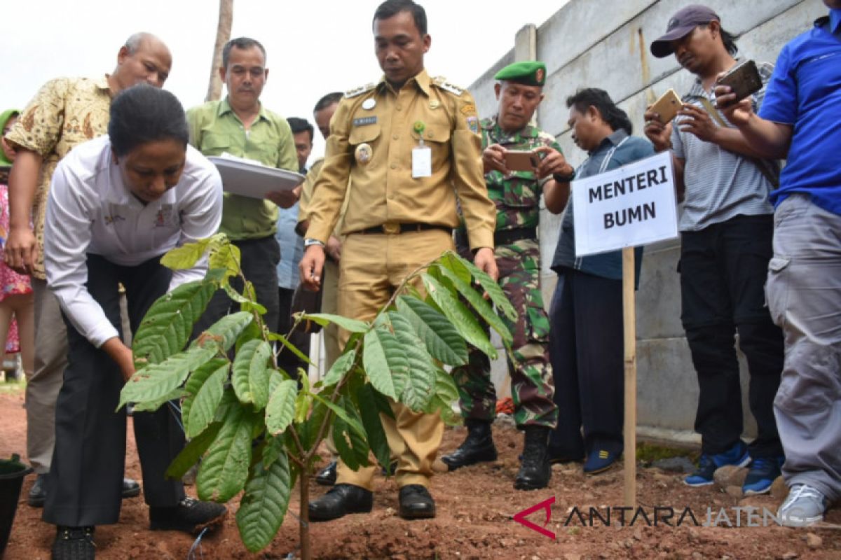 Menteri BUMN minta pabrik jaga stok kakao